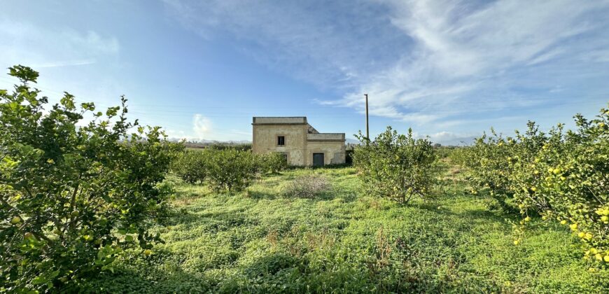 Rudere in vendita a Partinico, Borgo Parrini