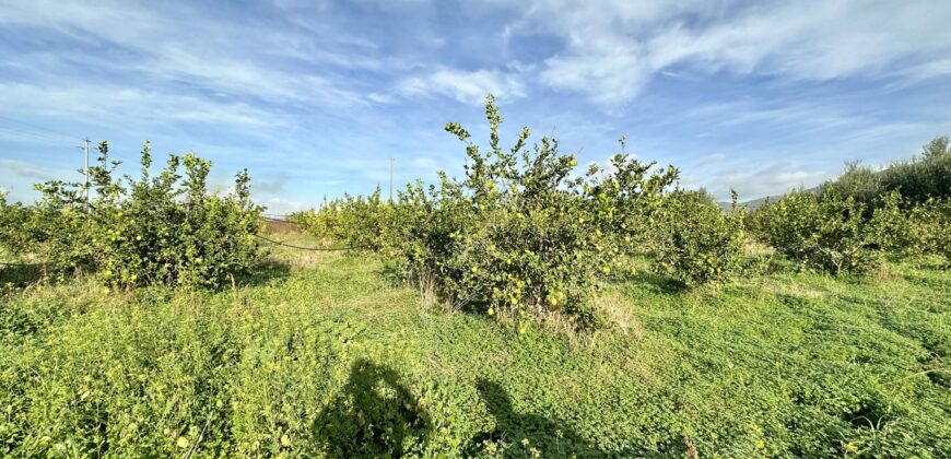 Rudere in vendita a Partinico, Borgo Parrini