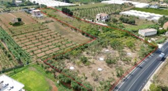 Terreno agricolo in vendita a Partinico, Contrada Piano del Re