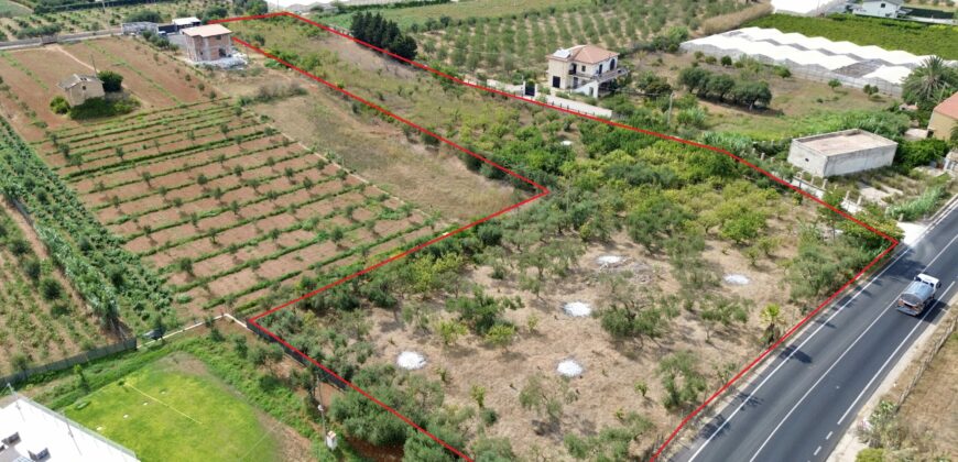 Terreno agricolo in vendita a Partinico, Contrada Piano del Re