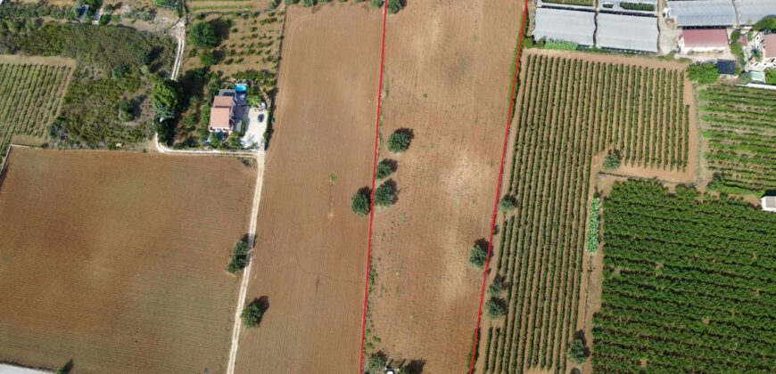 Terreno agricolo in vendita a Partinico, Contrada Pacino