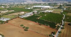 Terreno agricolo in vendita a Partinico, Contrada Pacino