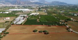 Terreno agricolo in vendita a Partinico, Contrada Pacino