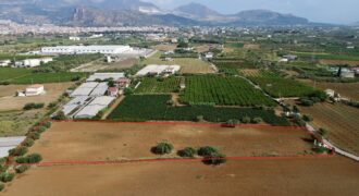 Terreno agricolo in vendita a Partinico, Contrada Pacino