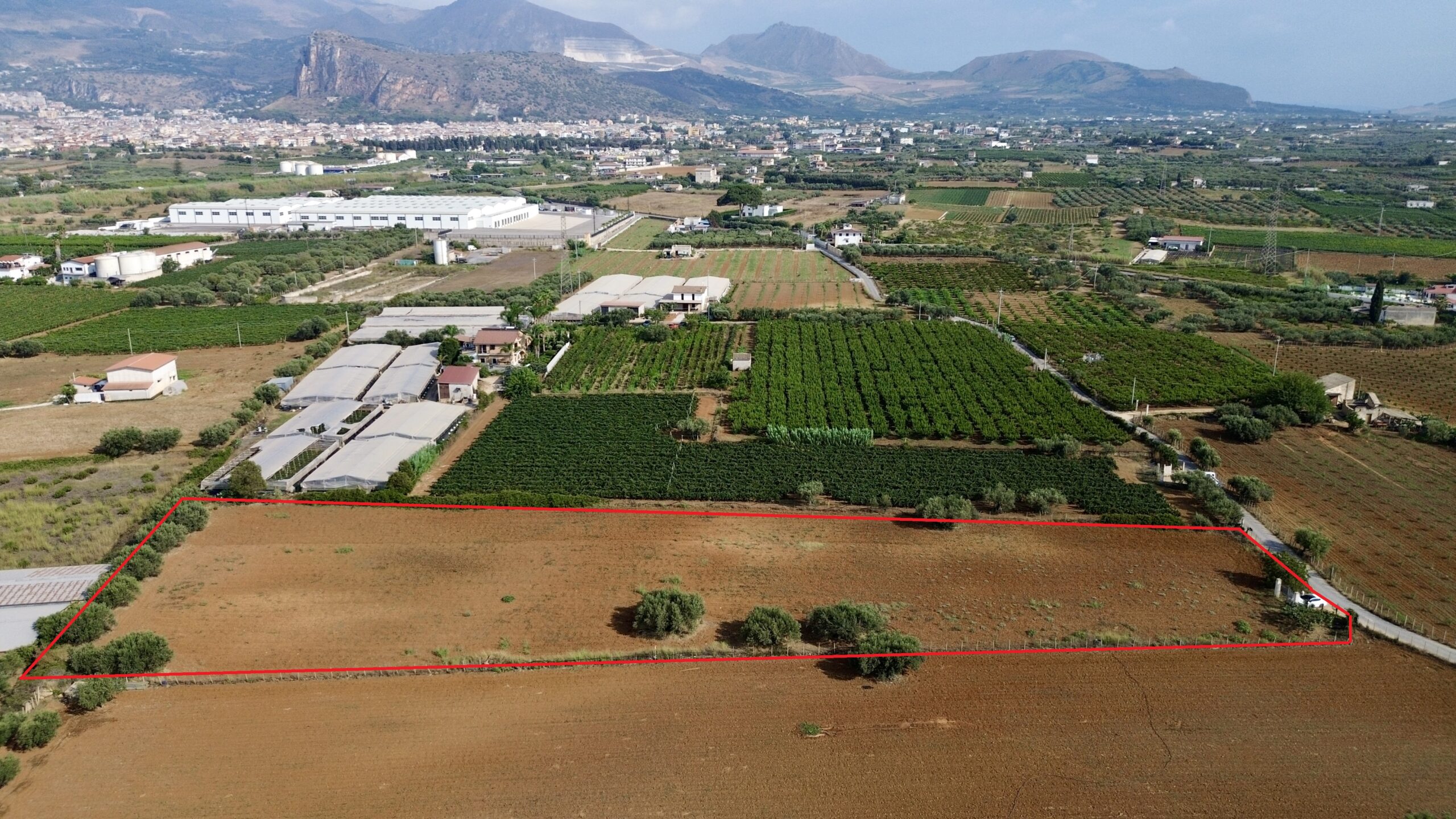 Terreno agricolo in vendita a Partinico, Contrada Pacino