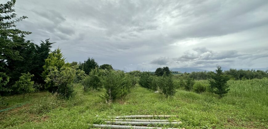 Villetta in vendita a Partinico, Contrada Vacanti