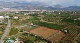 Terreno Agricolo in vendita a Partinico, Contrada Pacino