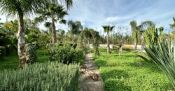 Terreno agricolo in vendita a Partinico, Cda Raccugli