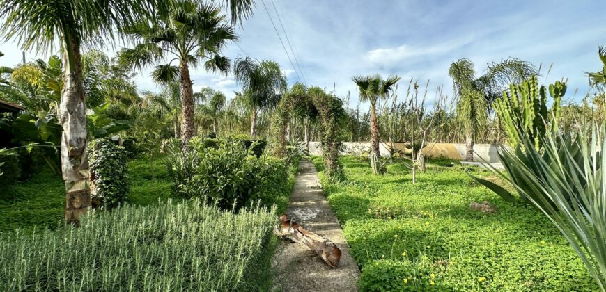 Terreno agricolo in vendita a Partinico, Cda Raccugli