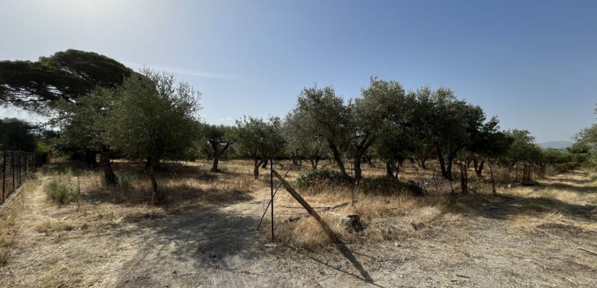 Terreno agricolo con case in vendita a Camporeale, Cda Valdibella