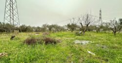 Villa in vendita a Partinico, Contrada Bosco Falconeria