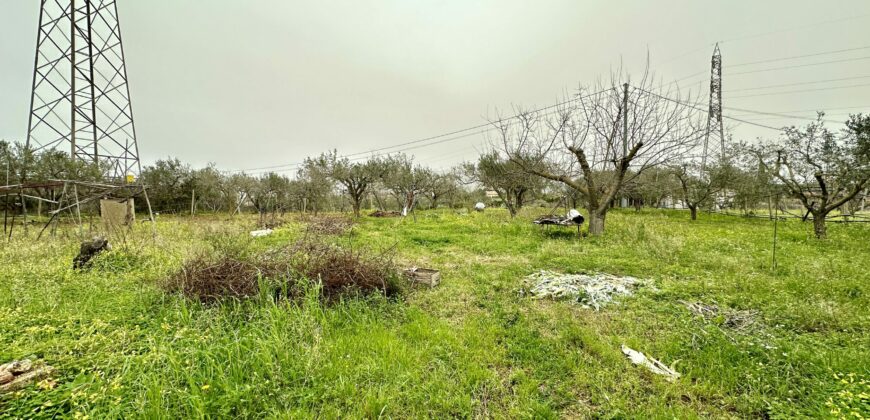 Villa in vendita a Partinico, Contrada Bosco Falconeria