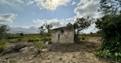 Terreno Agricolo in vendita a Partinico, Contrada Valguarnera