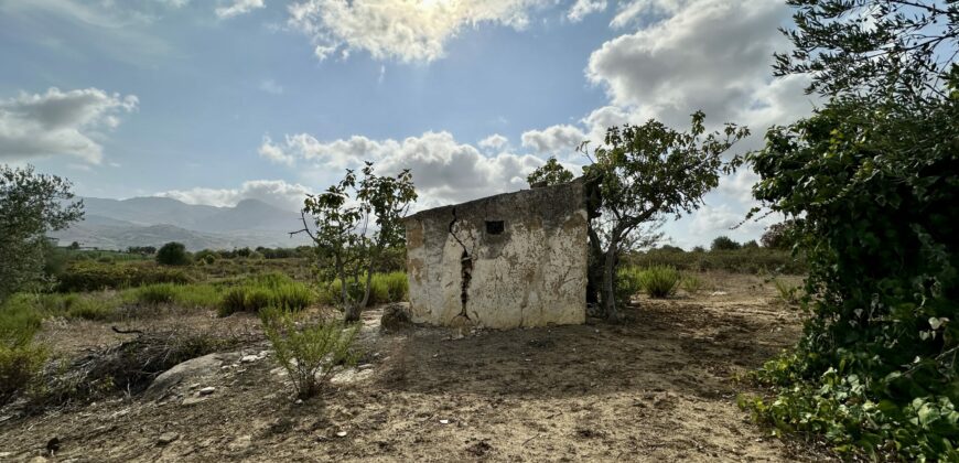 Terreno Agricolo in vendita a Partinico, Contrada Valguarnera