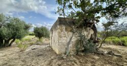 Terreno Agricolo in vendita a Partinico, Contrada Valguarnera