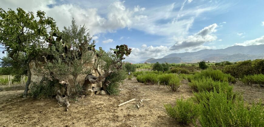 Terreno Agricolo in vendita a Partinico, Contrada Valguarnera