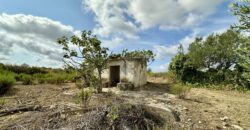 Terreno Agricolo in vendita a Partinico, Contrada Valguarnera