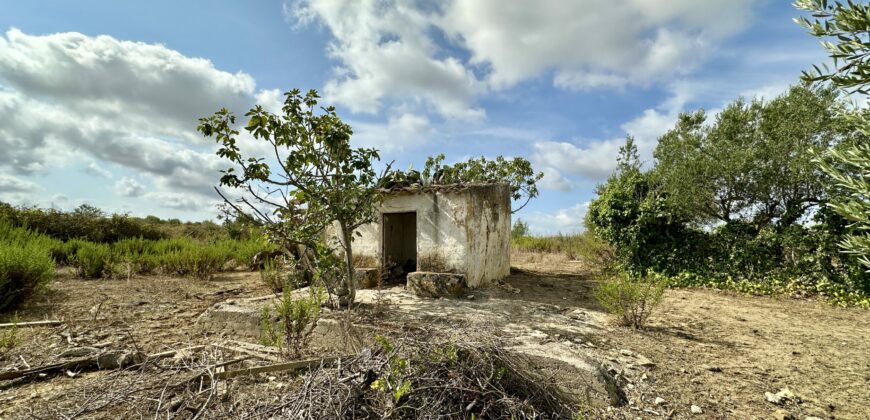 Terreno Agricolo in vendita a Partinico, Contrada Valguarnera