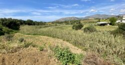 Terreno agricolo in vendita a Partinico, Contrada Carrozza