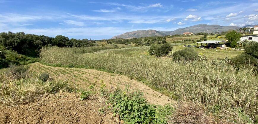 Terreno agricolo in vendita a Partinico, Contrada Carrozza