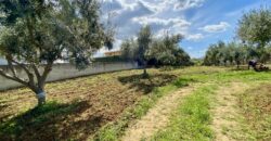 Terreno agricolo in vendita a Partinico, Contrada Carrozza