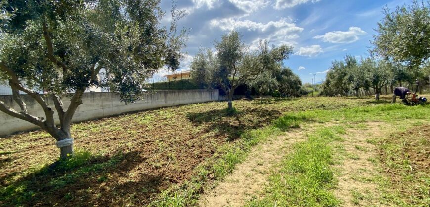 Terreno agricolo in vendita a Partinico, Contrada Carrozza