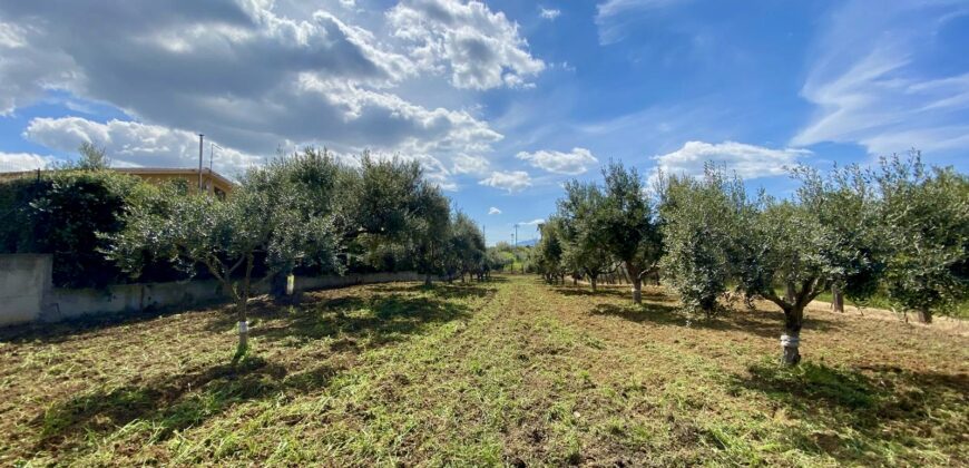 Terreno agricolo in vendita a Partinico, Contrada Carrozza