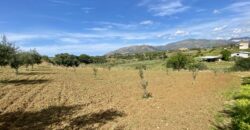 Terreno agricolo in vendita a Partinico, Contrada Carrozza