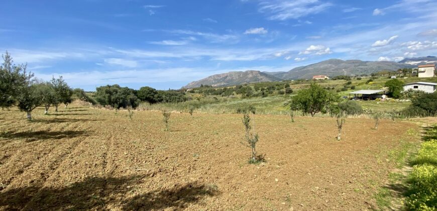 Terreno agricolo in vendita a Partinico, Contrada Carrozza