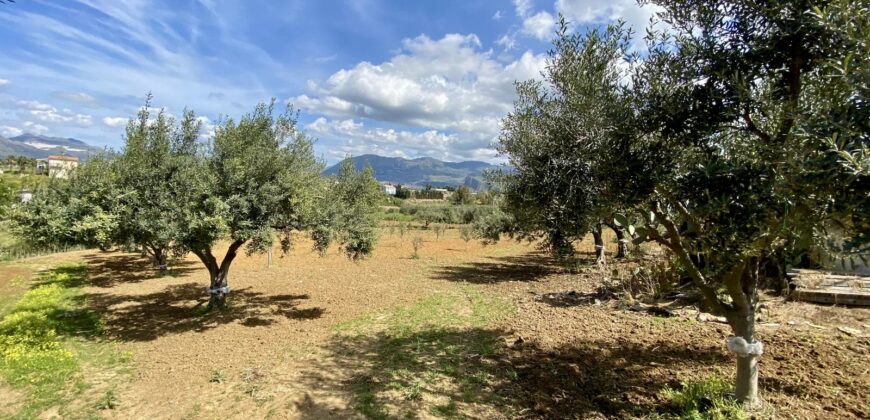 Terreno agricolo in vendita a Partinico, Contrada Carrozza