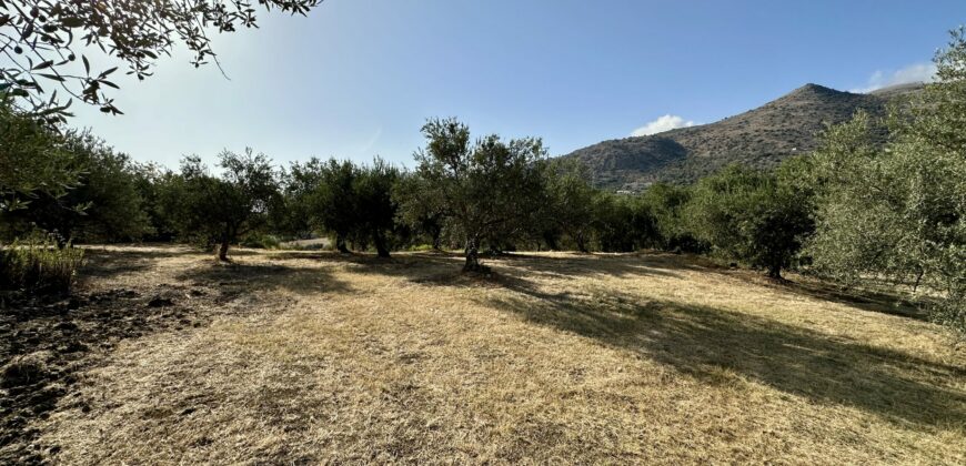 Terreno agricolo con magazzino in vendita a Giardinello, Contrada Cartiera