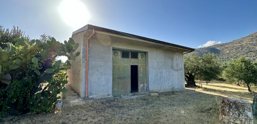 Terreno agricolo con magazzino in vendita a Giardinello, Contrada Cartiera