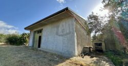 Terreno agricolo con magazzino in vendita a Giardinello, Contrada Cartiera