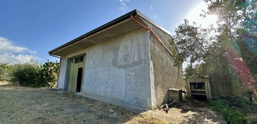 Terreno agricolo con magazzino in vendita a Giardinello, Contrada Cartiera