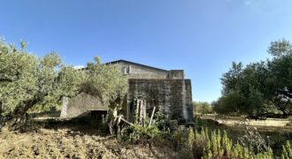 Terreno agricolo con magazzino in vendita a Giardinello, Contrada Cartiera