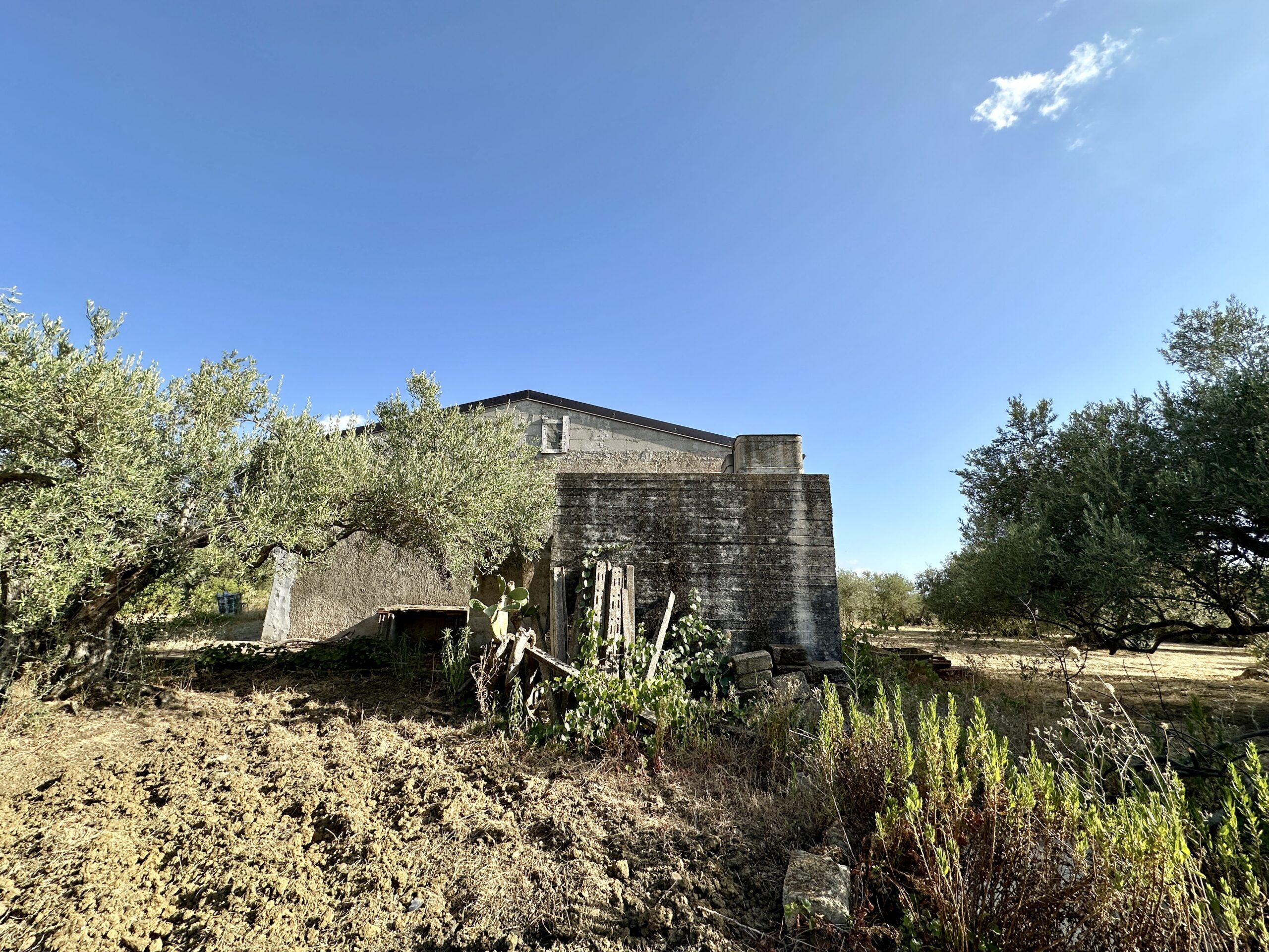 Terreno agricolo con magazzino in vendita a Giardinello, Contrada Cartiera