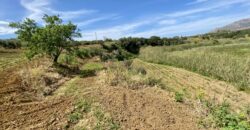 Terreno agricolo in vendita a Partinico, Contrada Carrozza