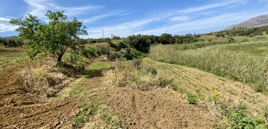 Terreno agricolo in vendita a Partinico, Contrada Carrozza