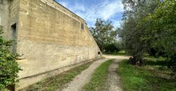 Terreno agricolo con magazzino in vendita a Partinico, Contrada Principe