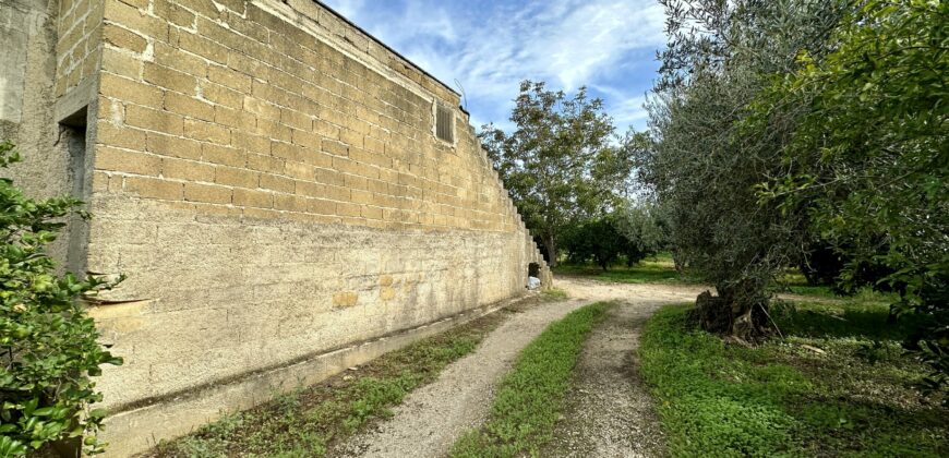 Terreno agricolo con magazzino in vendita a Partinico, Contrada Principe