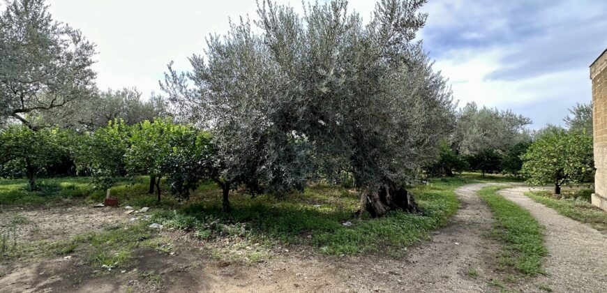 Terreno agricolo con magazzino in vendita a Partinico, Contrada Principe