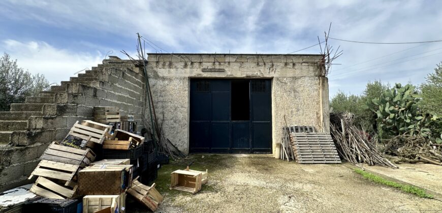 Terreno agricolo con magazzino in vendita a Partinico, Contrada Principe