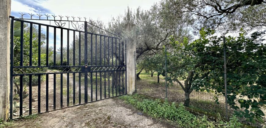 Terreno agricolo con magazzino in vendita a Partinico, Contrada Principe