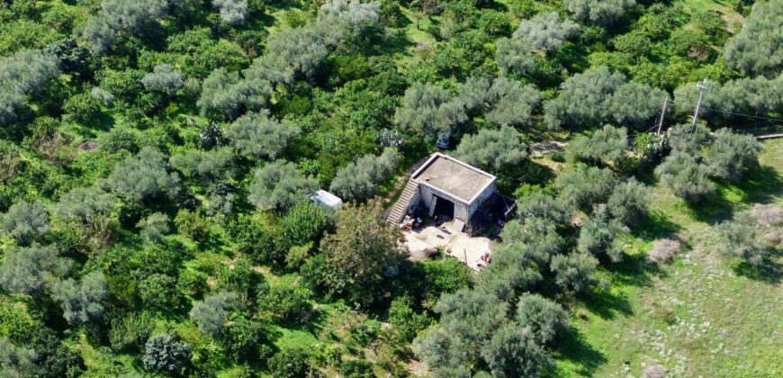 Terreno agricolo con magazzino in vendita a Partinico, Contrada Principe