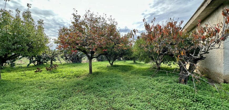 Villetta in vendita a Partinico, Contrada Tammì