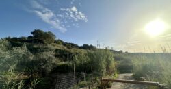 Terreno agricolo in vendita a Partinico, Contrada Valguarnera