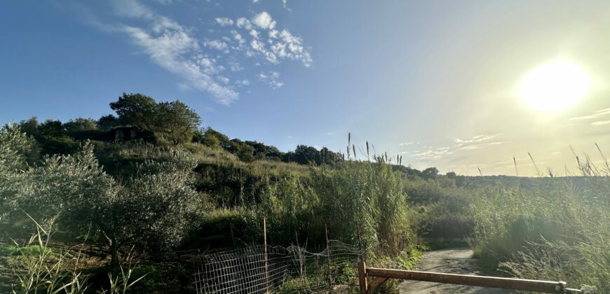 Terreno agricolo in vendita a Partinico, Contrada Valguarnera