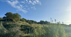 Terreno agricolo in vendita a Partinico, Contrada Valguarnera