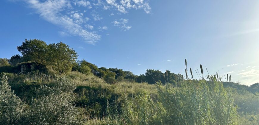 Terreno agricolo in vendita a Partinico, Contrada Valguarnera